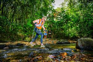 BIB: 
                            <button type="button" onclick="openModal(21768074)" class="btn btn-primary btn-sm float-right btn-popup" data-toggle="modal" data-target=".modal-high-quality">
                        <i class="fas fa-shopping-cart"></i> Add to Cart
                    </button>
                                            <button type="button" onclick="isThisMe(21768074, true)" class="btn btn-success btn-sm float-right btn-popup btn-isme hidden" data-toggle="tooltip" data-placement="bottom" title="นี่คือรูปของคุณใช่ไหม คลิกที่นี่เพื่อเอาเข้าอัลบั้ม">
                        <i class="fas fa-plus"></i> Add to album
                    </button>
                    <button type="button" onclick="isThisMe(21768074, false)" class="btn btn-warning btn-sm float-right btn-popup btn-isnotme hidden">
                        <i class="fas fa-ban"></i> Remove from album
                    </button>